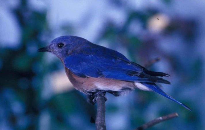 당신이 겪고 있을지도 모르는 9가지 증후군 | 인스티즈