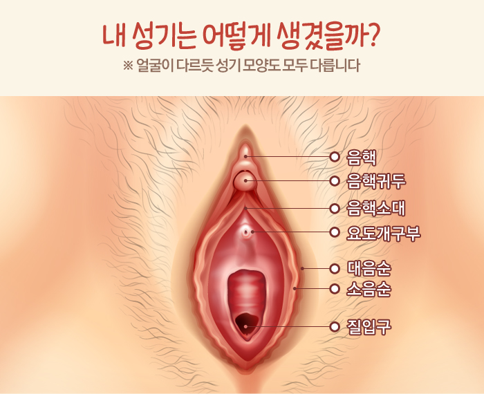 여자가 ㅈㅇ에 대해서 알고싶은 10가지(15).jpg | 인스티즈