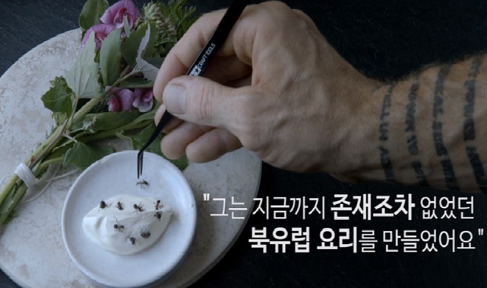 전세계서 가장 예약하기 어려운 레스토랑, '노마'의 비밀 | 위키트리