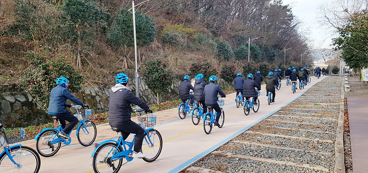 세종시 자전거 보험