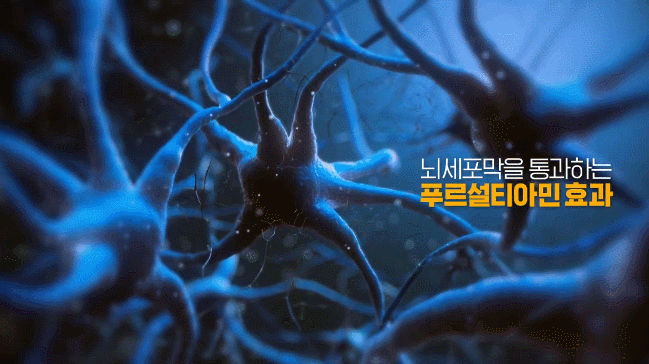 유튜브 일동제약그룹
