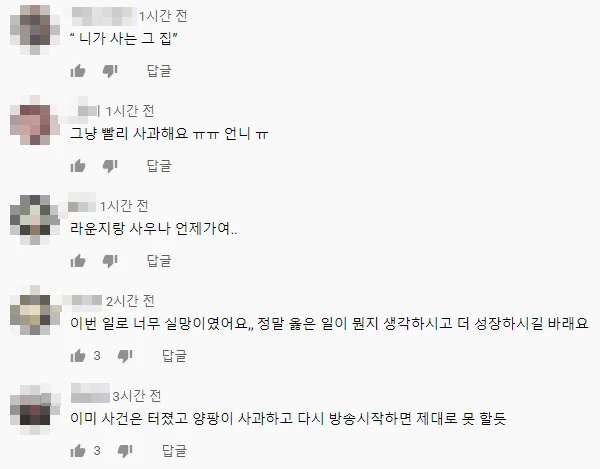양팡 유튜브 영상 댓글 창