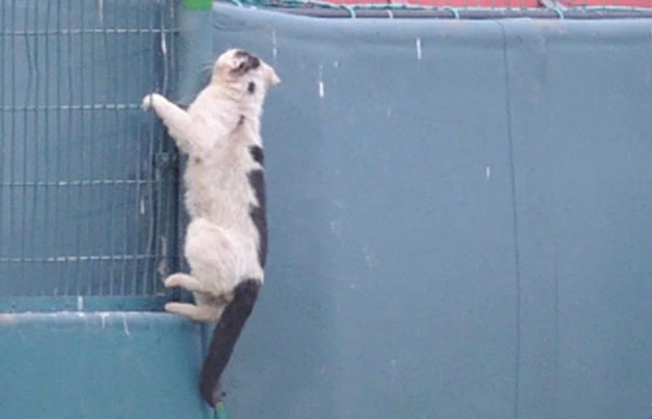 온라인 커뮤니티