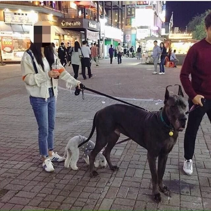 이하 온라인 커뮤니티 에펨코리아