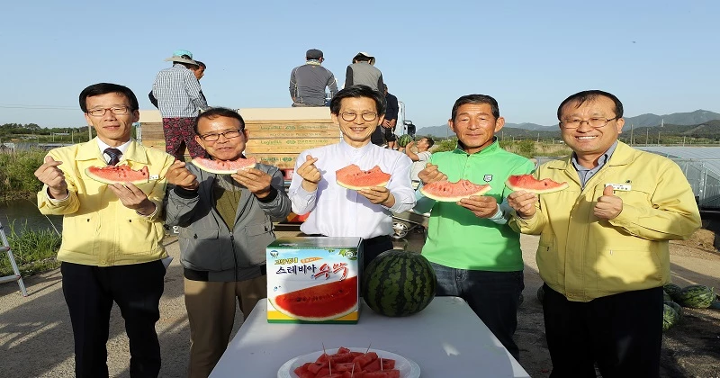 고창군
