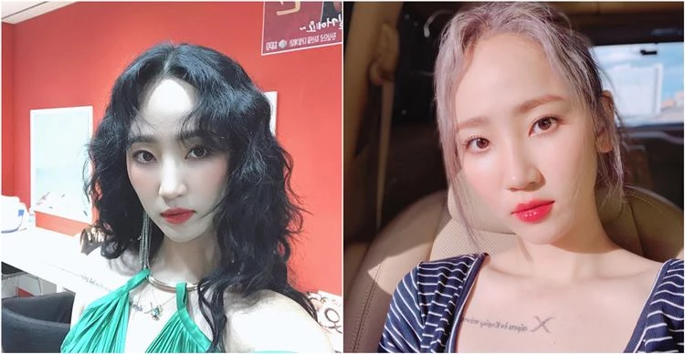 이하 핫펠트 인스타그램