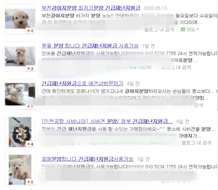 포털사이트 검색 창