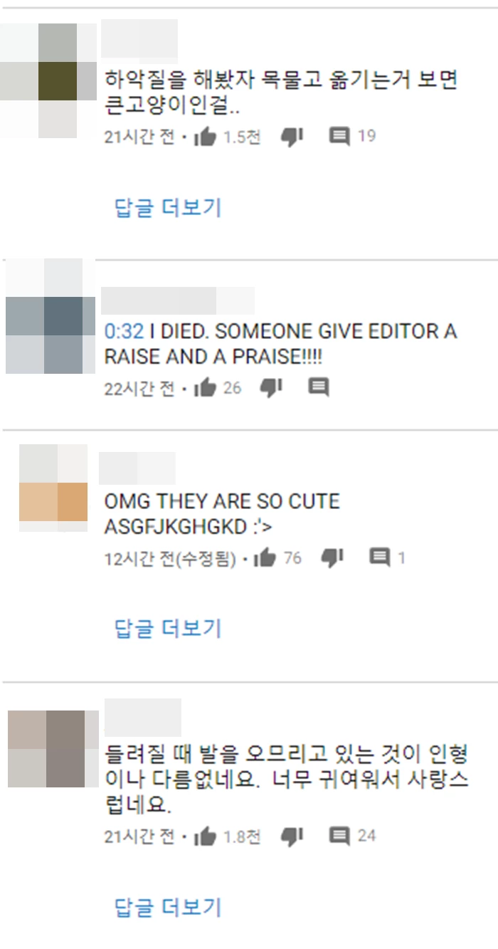 유튜브