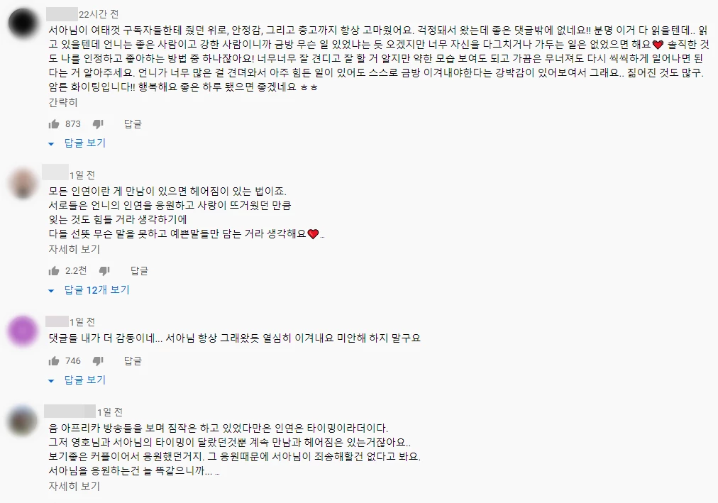 '박서아TV' 유튜브 댓글 캡처