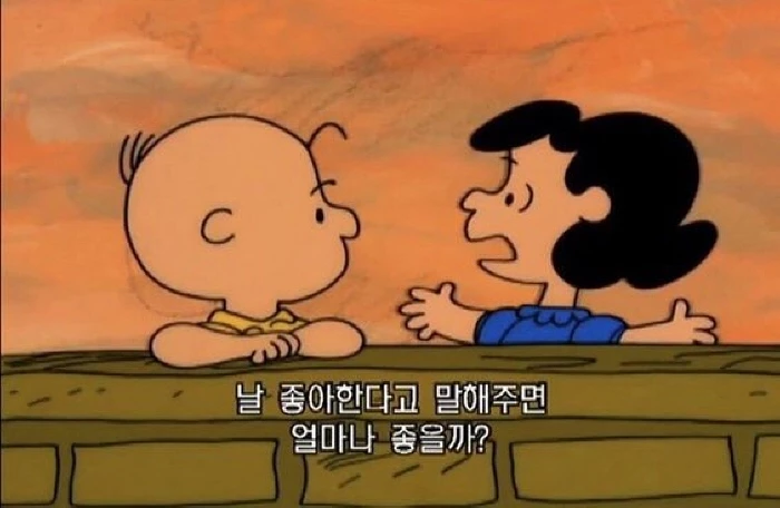 찰리 브라운과 스누피 (The Charlie Brown And Snoopy)