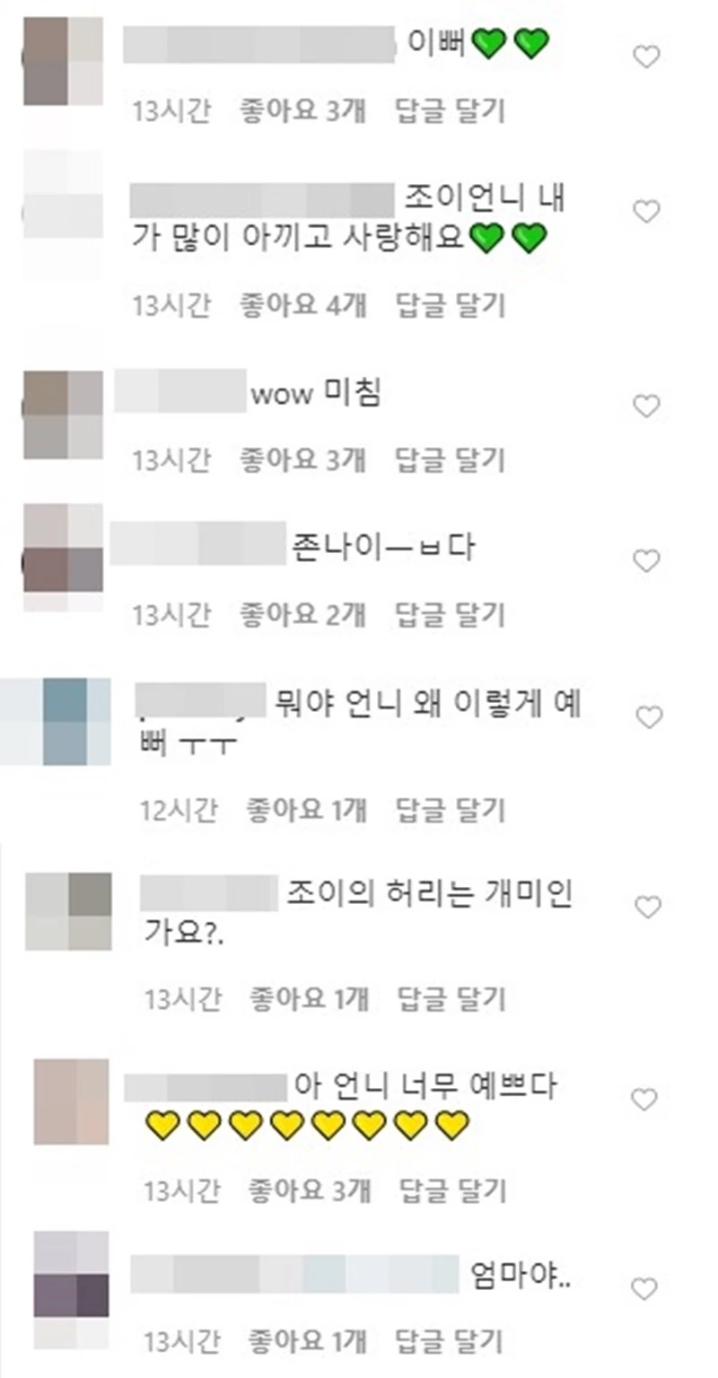 조이 인스타그램 댓글창