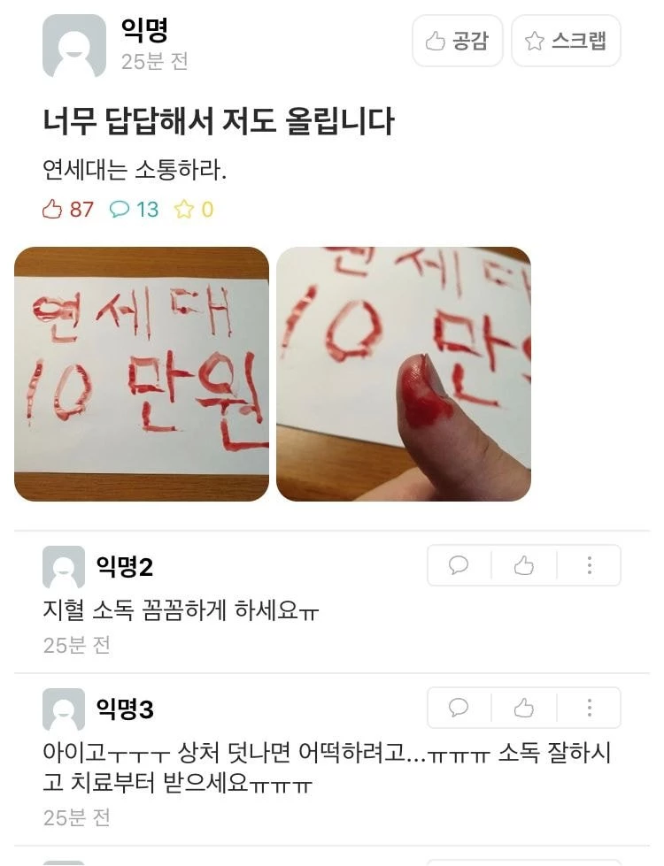 연세대 에브리타임