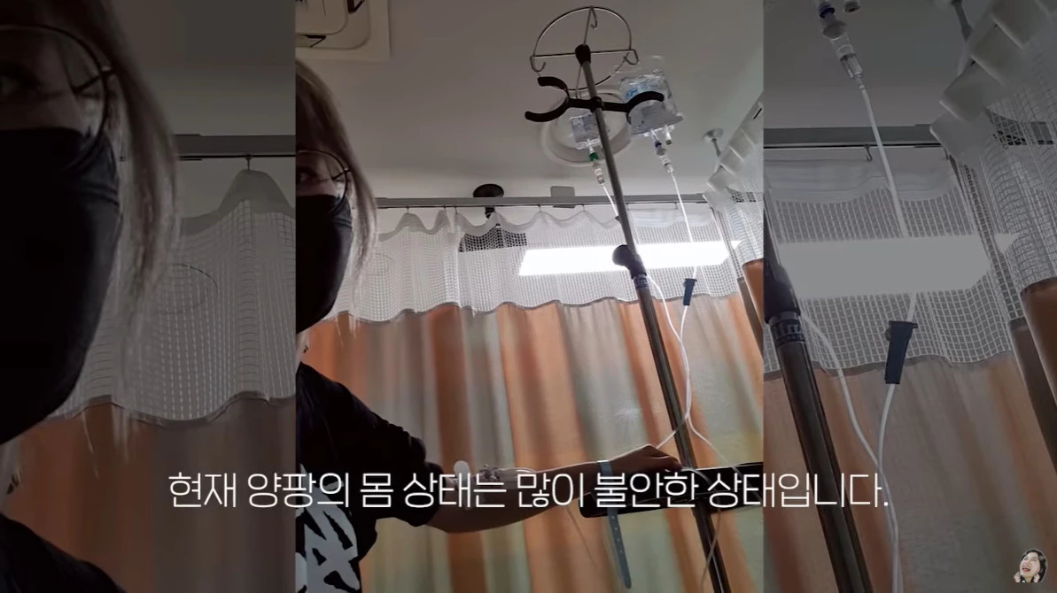 이하 유튜브 '양팡 YangPang'