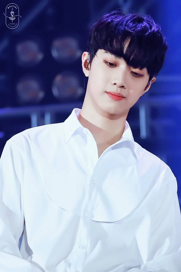 이하 트위터