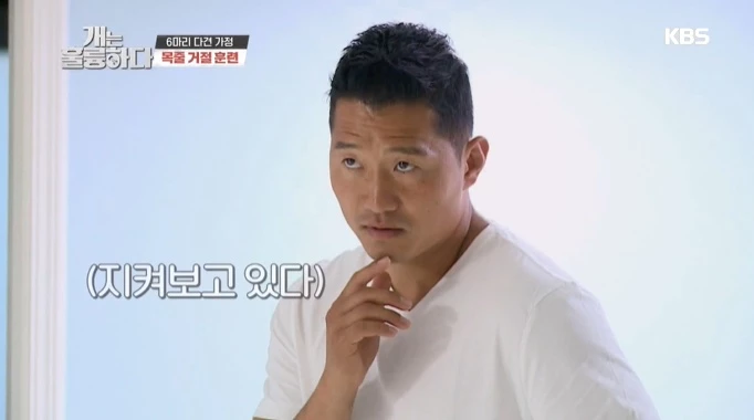 이하 KBS2 '개는 훌륭하다'