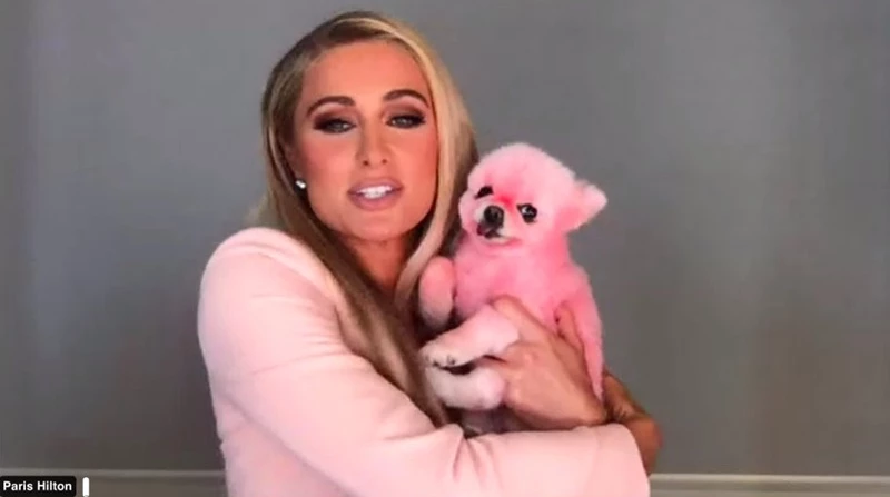 유튜브 'Paris Hilton'