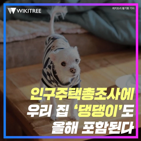 인구주택총조사에 우리 집 ‘댕댕이'도 올해 포함된다