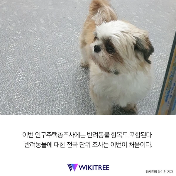 인구주택총조사에 우리 집 ‘댕댕이'도 올해 포함된다