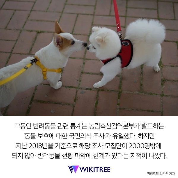 인구주택총조사에 우리 집 ‘댕댕이'도 올해 포함된다