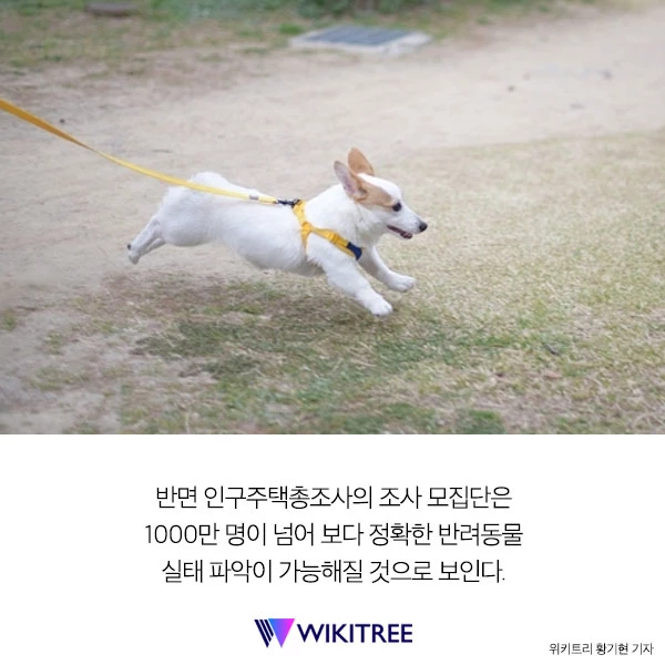 인구주택총조사에 우리 집 ‘댕댕이'도 올해 포함된다