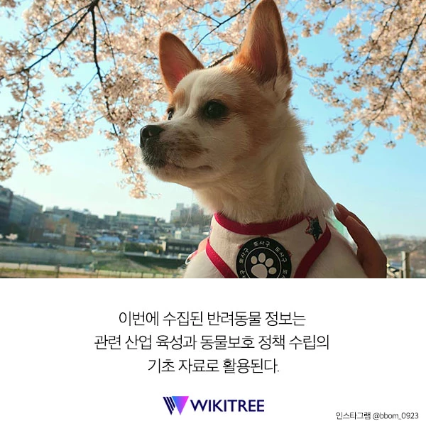 인구주택총조사에 우리 집 ‘댕댕이'도 올해 포함된다