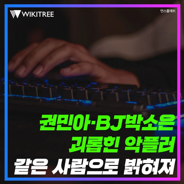 권민아·BJ박소은 괴롭힌 악플러 같은 사람으로 밝혀져