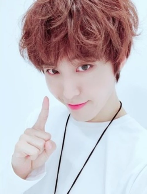 허니 트위터