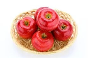 임실명품사과 기반조성 관련 / 구글