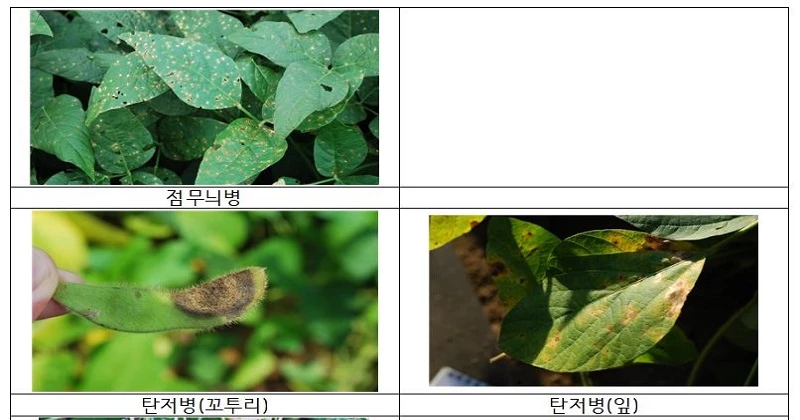 농촌진흥청