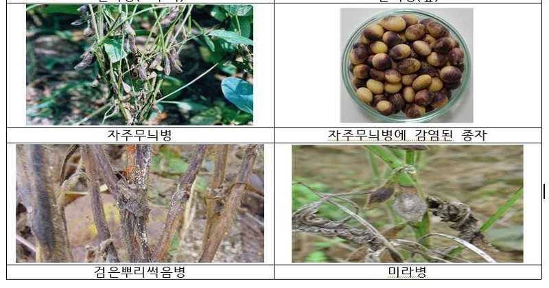 농촌진흥청