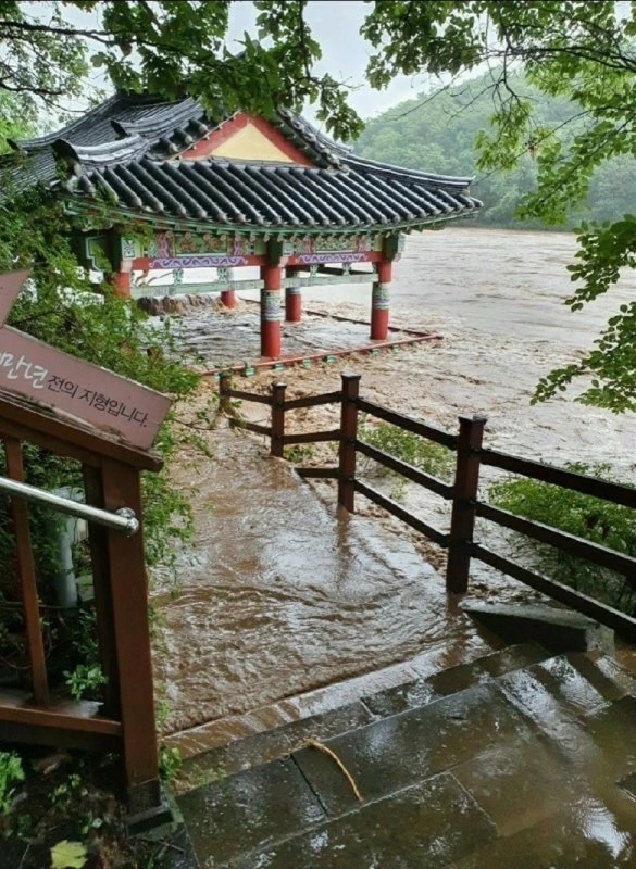 온라인 커뮤니티 '보배드림'