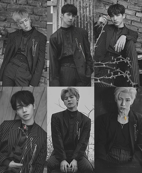 빅스 / 젤리피쉬엔터테인먼트