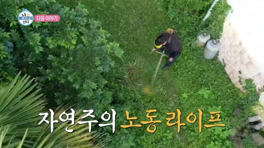 이하 MBC '나 혼자 산다'