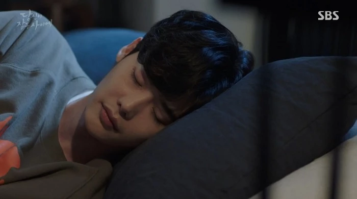 SBS ‘당신이 잠든 사이에’