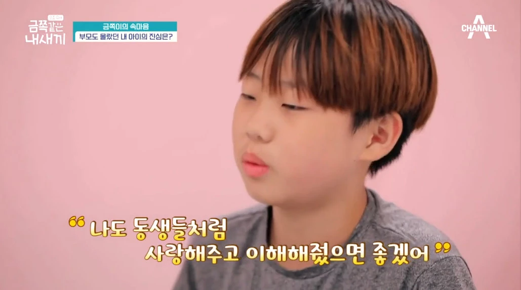 이하 채널A '요즘 육아 금쪽같은 내새끼'