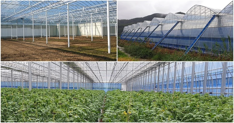 비닐하우스 지원사업과 노지채소 생산기반 구축사업 / 무주군