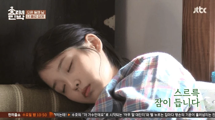 JTBC ‘효리네 민박’