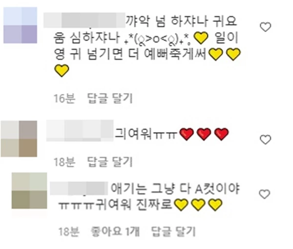 윌리엄 헤밍턴 인스타그램 댓글 캡처