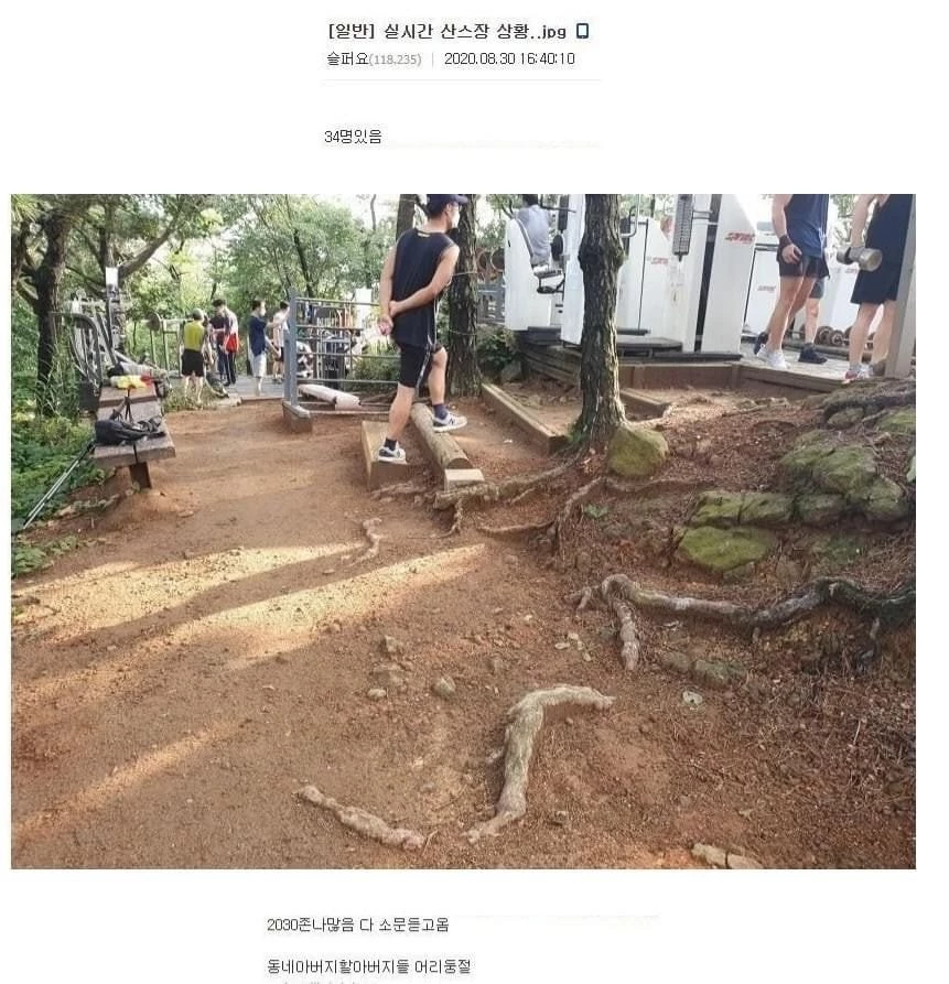 인터넷 커뮤니티 디시인사이드 게시물 캡처.