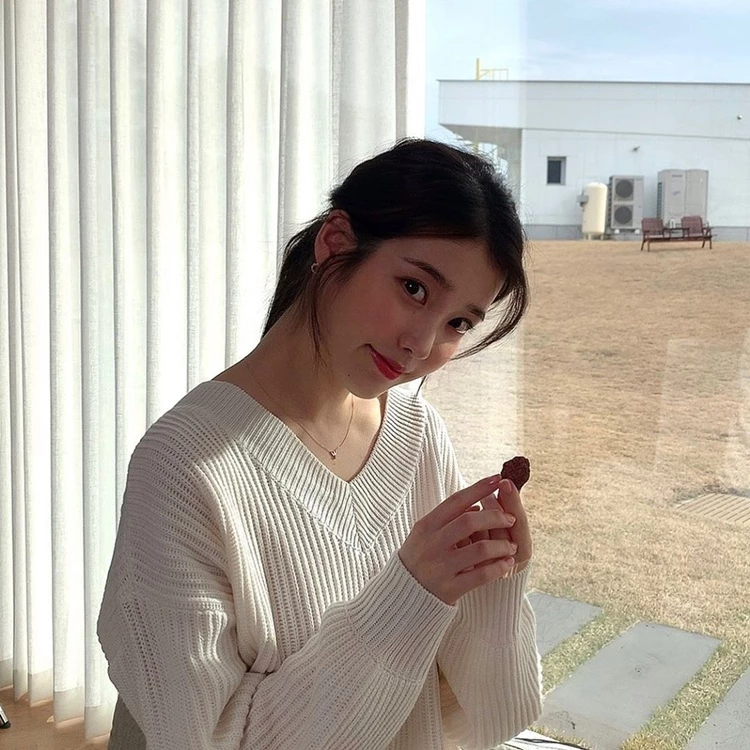 IU's 'spending' revealed by her fan
