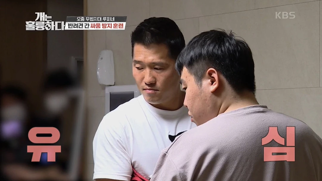 이하 KBS2 '개는 훌륭하다'