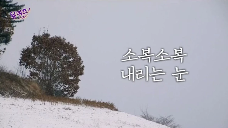 이하 tvN '유 퀴즈 온 더 블럭'