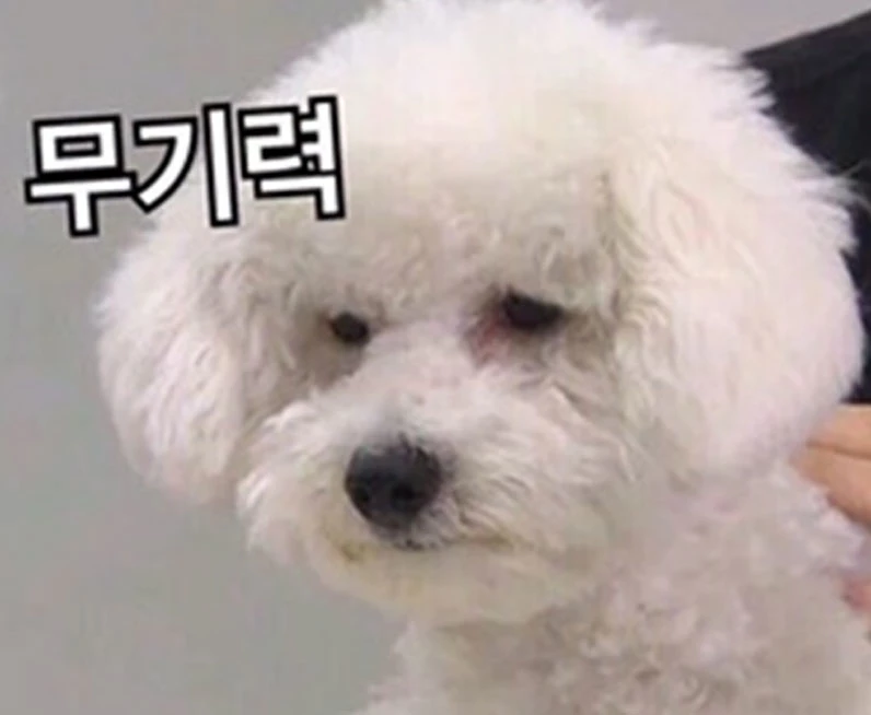 온라인 커뮤니티