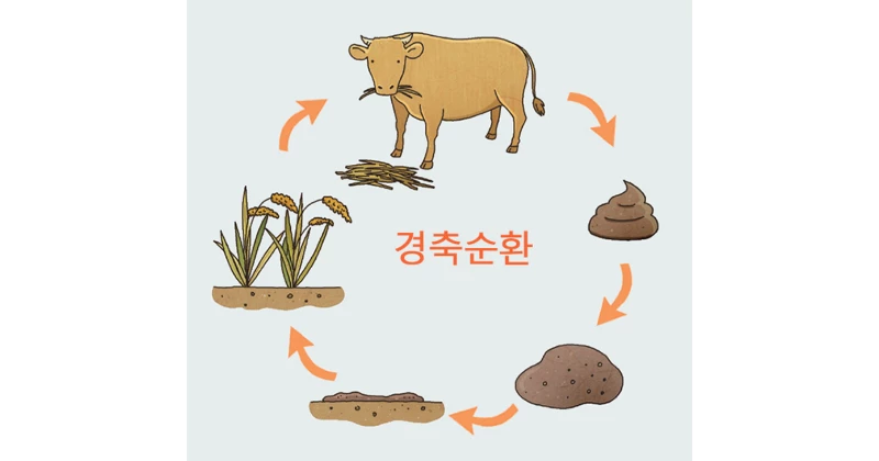 익산시