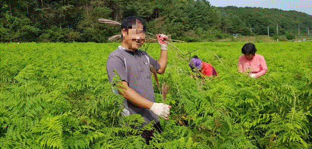 군위지역자활센터 우수기관 선정