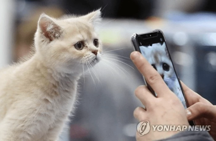 이하 연합뉴스
