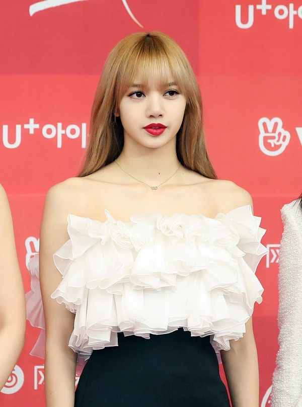 LISA / News1