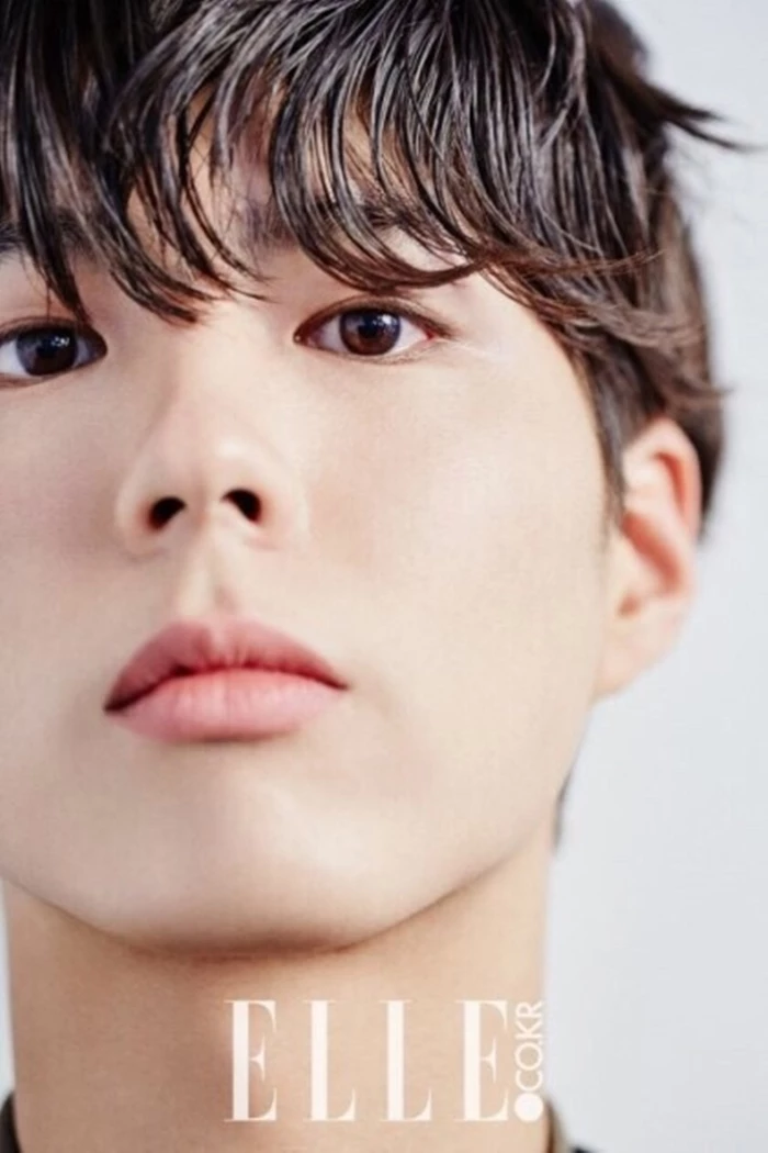 엘르