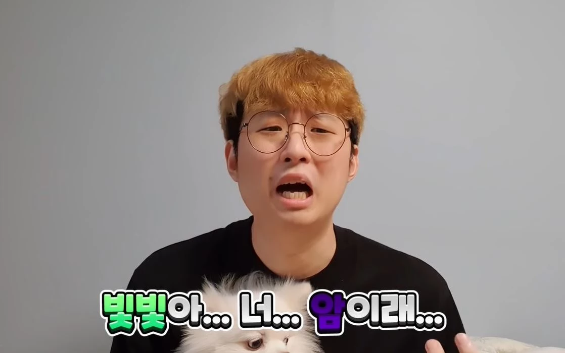 유튜브 '빛빛일기'