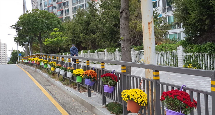 여수시 여서동주민자치위원회, 사람의 향기 품은 정원로드 ‘눈길’